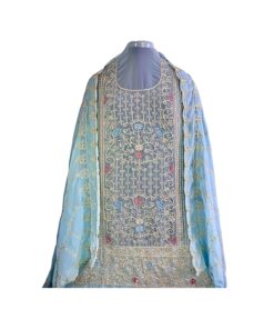 Pakistani Farshi Salwar Suit