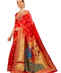 Jimmy Choo Saree Design
