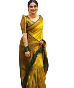 Latest Blouse Designs For Jimmy Choo Saree